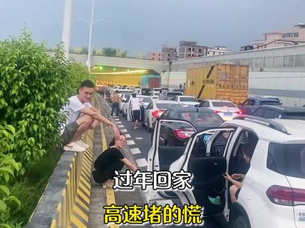 聪明的人已经回家了,结果发现高速上全是聪明人#高速行车安全 #高速堵车 #春节安全 #过年 #高速返程高峰到来