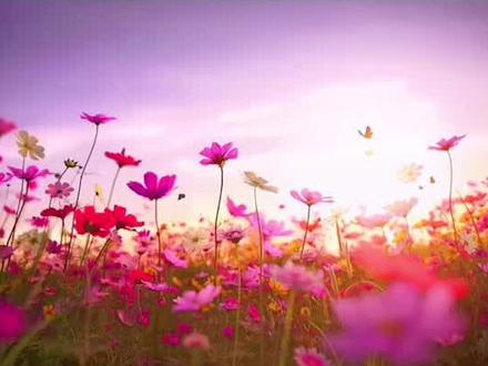 客商,潮商的区别#汕尾 #珠海探店 #