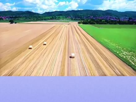 一个人精明到可怕的11个表现!#智慧人生 #提升自己 #受益一生 #为人处世 #思维格局 @抖音小助手