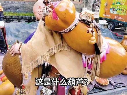 这是什么葫芦!#科普#葫芦 #文玩