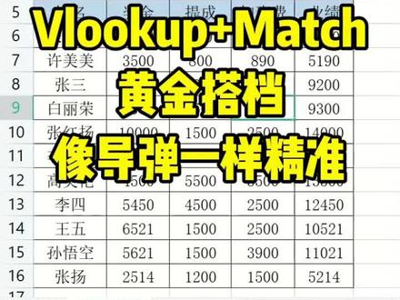Vlookup+Match黄金搭档函数,实现一对多查询#office办公技巧 #0基础学电脑 #办公技巧 #excel技巧 #函数