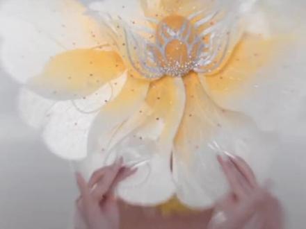 杨丽萍老师的舞蹈💃花开富贵佟丽娅主演,太美了👍