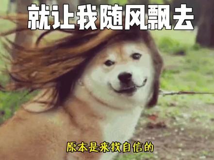 女娲你睡了吗是什么梗?女娲 你的小泥点子在叫你呢 #内容过于真实 #女娲你睡了吗? #我丑的睡不着