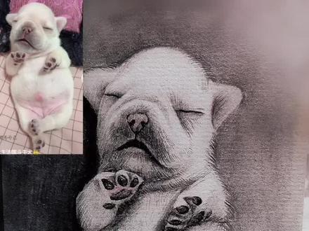 跟我一起学画画吧,今天画一只可爱的斗牛犬幼崽@抖音小助手 #零基础学画画 #绘画过程 #手绘