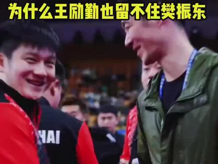 为什么王励勤也留不住樊振东#樊振东 #王励勤