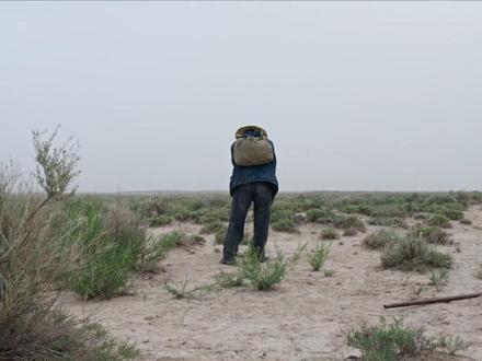 生命树:老韩掘地三尺寻队长,白菊17年从未放弃