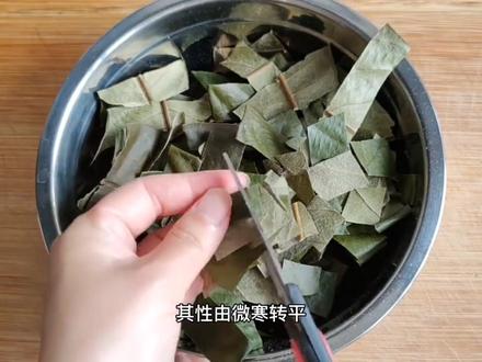 #养生茶 蜂蜜与枇杷叶的搭配,你知道吗?#枇杷叶#蜂蜜 #蜜炙 #喝出来的健康 #润肺止咳 #止咳小妙招