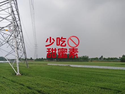 少吃有害添加剂#故事会 #故事