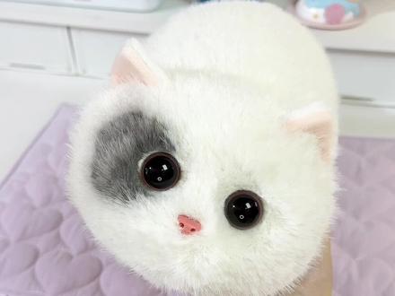 林子烨同款小猫🐱这跟真猫有什么区别⁉️ #walulu#AI宠物#林子烨#猫咪#林子烨同款