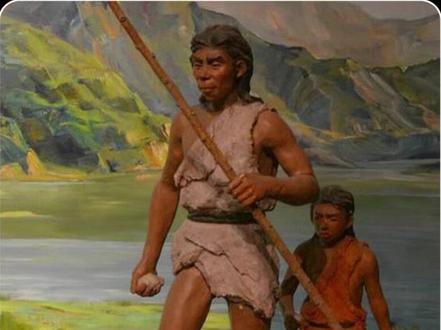 人类到底是怎么来的 #科普 #科普一下 #助眠