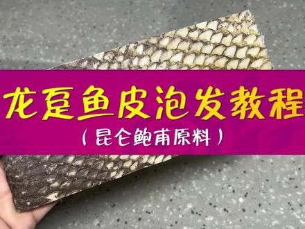 满汉全席(昆仑鲍甫)龙趸鱼皮泡发教程!#鲍参翅肚 #满汉全席 #高端食材