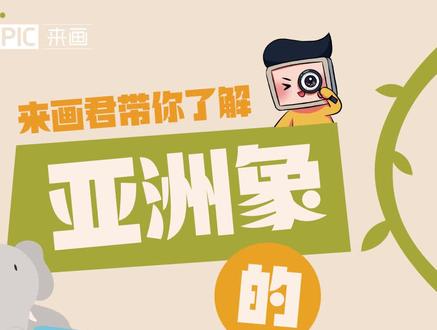 【来画知天下】亚洲象群为何离开家乡一路“象”北?来画君带你来了解~ #来画知天下 #亚洲象