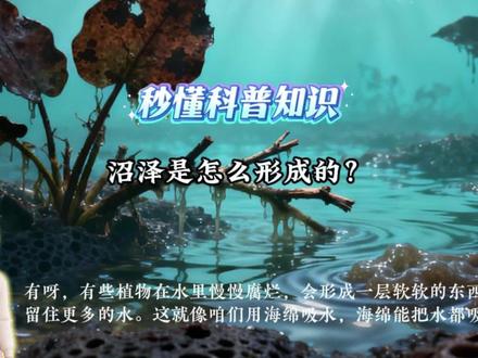 秒懂科普系列第二季--沼泽是怎么形成的?#科普 #科普一下 #沼泽 #创作者扶持计划 #创作人计划