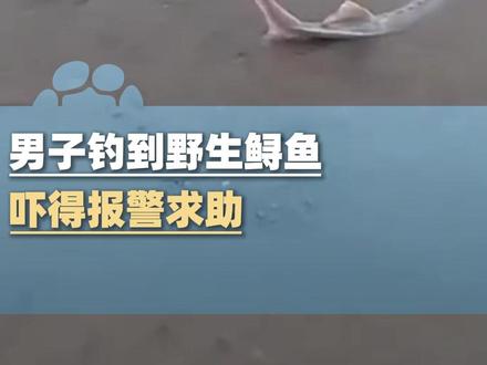 男子钓到野生鲟鱼吓得报警求助,警方工作人员:未对中华鲟造成伤害,且及时放生无需承担相关责任