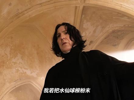 一生只为一人而活 #斯内普 #深度解析