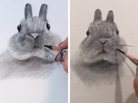 阔爱的小兔子画法,保证yi学就会#素描 #抖音小助手