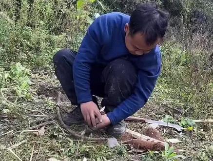 强者无敌苗王👑#张家界七星山荒野求生 #老六荒野