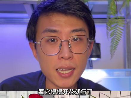 鱼缸里最应该养的水培植物有哪些#新手养鱼 #水族