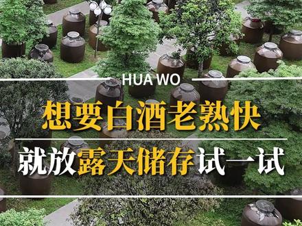 想要白酒老熟快,就放露天储存试一试 #存酒 #白酒储存 #存酒方法 #酿酒