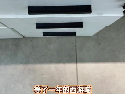 想买正版西游喵,速来博库直播间!#西游喵 #如果西游是一群喵 #历史喵 #如果历史是一群喵 #肥志