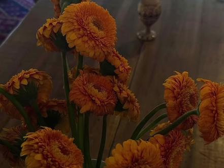 阳阳你是最聪明最可爱的宝宝🥹
#攻略对象出了错 #金刚圈