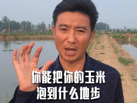 今天回复一下学员提问:给小龙虾喂黄豆玉米行吗?需要煮熟吗? #vloge