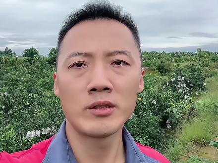 空调长期不用了怎样保养#空调长期不用了怎样保养 #小张制冷