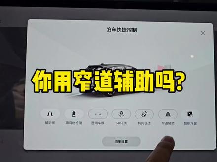 你依赖窄道辅助吗,车友群里经常吐槽这个总是会关闭,希望5.1优化优化。#极氪 #极氪001 #极氪5.1