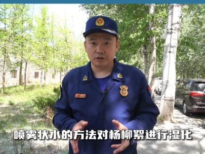 点燃的杨柳絮有多可怕?1秒钟上演“火烧连营”!#柳絮 #消防安全