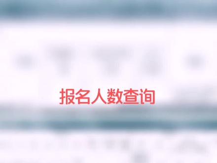 怎么查报名人数???