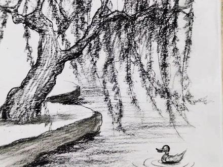 #画画#画画其实很简单@抖音小助手柳树的画法#原创