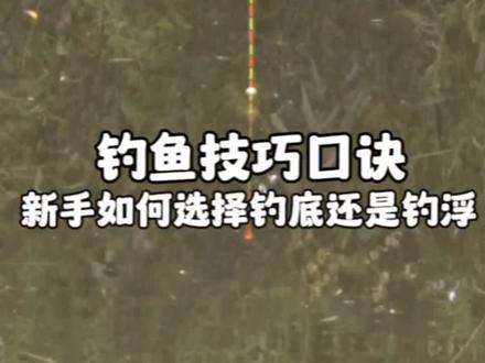 钓鱼技巧口诀,新手如何选择钓底还是钓浮#钓鱼人 #钓鱼技巧 #调漂技巧 #钓鱼