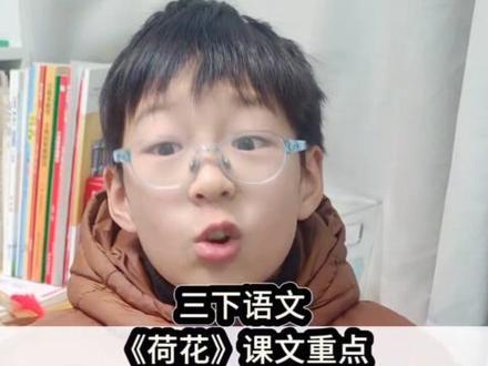 三年级下册语文《荷花》课文重点知识点梳理#三下语文知识点#小学语文#知识点总结#每天学习一点点