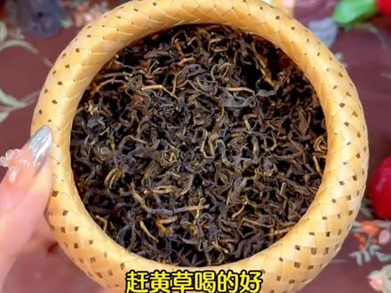 特级肝苏草也就是赶黄草,四川古蔺肝苏草赶黄草扯根菜泡水喝#肝苏草 #赶黄草 #赶黄草茶 #养生茶 #秋冬热饮