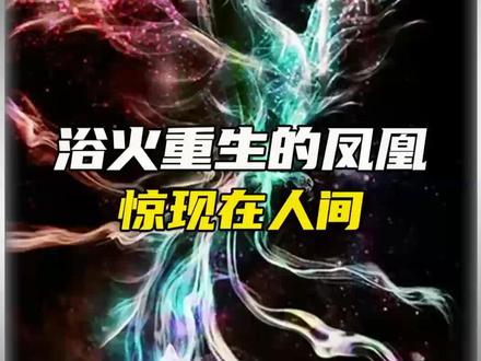 火凤凰重现人间,这是真的吗?#未解之谜 #科普 #神话故事 #山海经