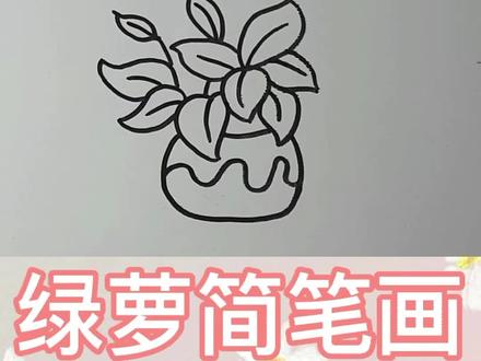 入水入土都能生长的绿萝,绿萝简笔画#兴趣才艺 #简笔画教程 #零基础学画画 #一起学画画 @抖音青少年