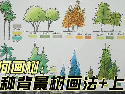 太行山速写树怎么画-抖音