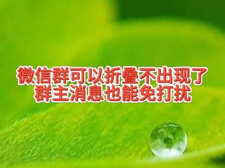 微信群可以折叠不出现了,群主发的全员通知消息也可以免打扰 #微信群折叠怎么设置