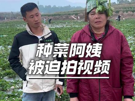跑到那里了评论区告诉我一下#共享菜园 #种菜 #搞笑视频 #阿姨拍抖音