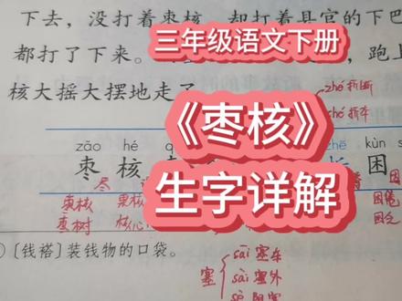 第二十八课《枣核》生字详解