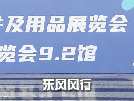 好好造车吧,还玩换标的把戏?#东风风行#风行t5evo#2020广州国际车展@抖音汽车