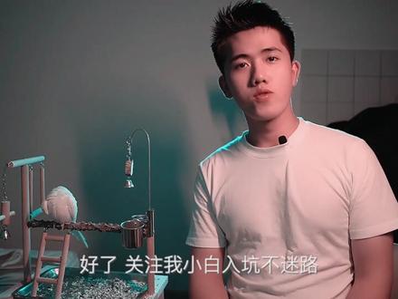 Ae教程-安装好Ae之后 有几个很重要的设置 可以解决部分卡顿、bug的问题#ae教程 #干货分享 #后期制作 #ae #干货