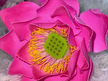 原来用拼豆做花这么简单🪷
#手工#拼豆 #拼豆豆 #拼豆图纸 #拼豆教程