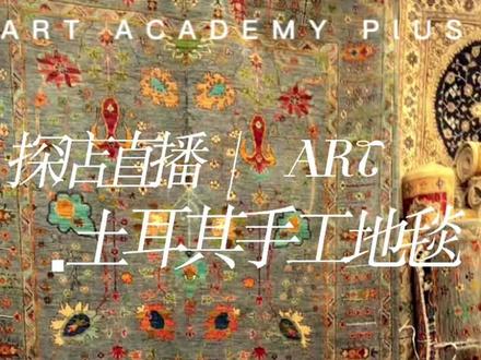 土耳其手工编织地毯 羊毛地毯 真丝地毯 土耳其地毯 伊朗地毯 #分享异国风情 #客厅地毯推荐 #手工编织 #手工地毯