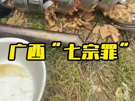 分享广西的“七宗罪”,堪比触碰“刑法”? #广西风俗 #广西特色 #打翻扣肉 #科普