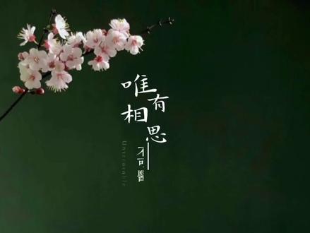 歌词文字高级感排版方法#剪映技巧分享 #