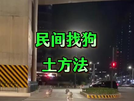 民间找狗土方法 #萌宠 #狗狗 #养狗经验分享