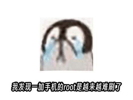 这玩机圈真的还有未来吗? #一加刷root #拍机堂淘机 #一加解bl锁