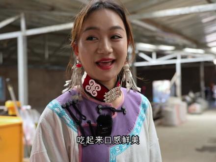 你们知道怎么分辨公牛母牛吗?#新手养牛 #农村养牛 #养牛的点点滴滴 #彝族 #正在努力的彝族姑娘