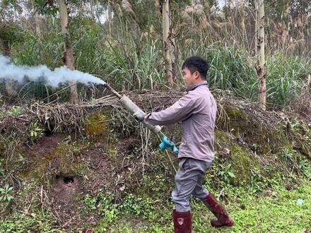 小伙自制“AK47”农田灭鼠神器!一炮进洞,害鼠慌乱跑出 #军仔抓老鼠 #乡村军仔 #军仔抓老鼠